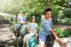 Photo 4 — galerie Équitation