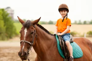 Photo 9 — galerie Équitation